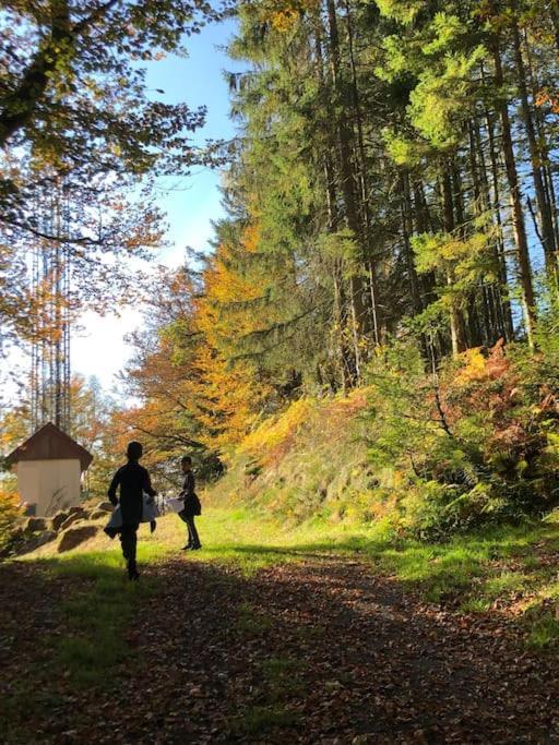 Le Chalet Des Coeurs Льо Толи Екстериор снимка